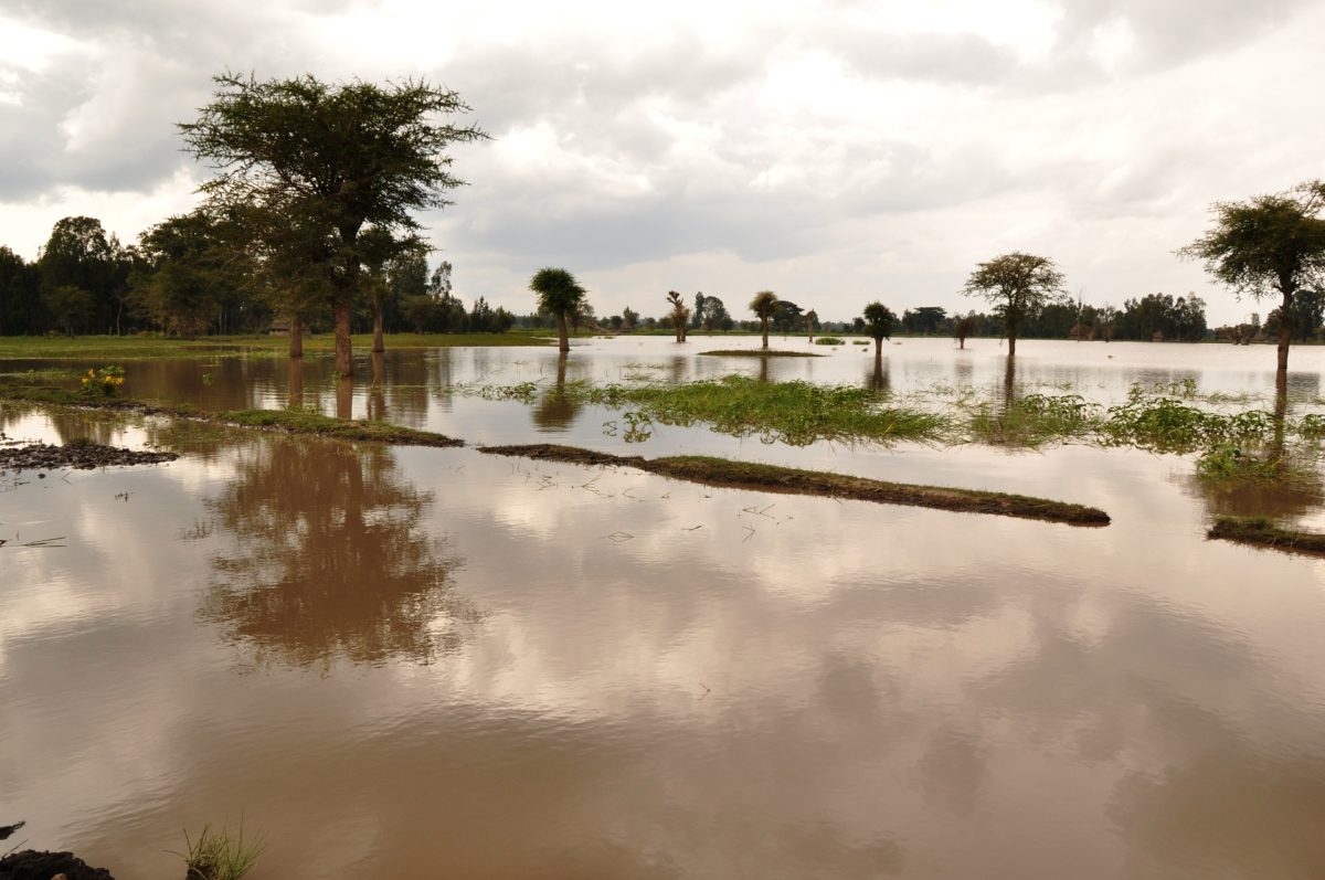 Flood Damage Image by fethiopia on Pixabay